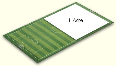 How much land is an acre?